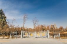 丁香公园-哈尔滨-doris圈圈