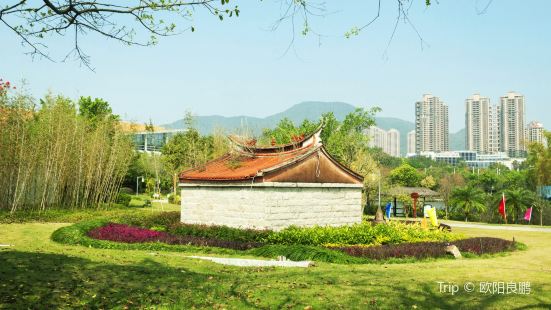 Julong Town
