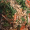 Magic Wok
