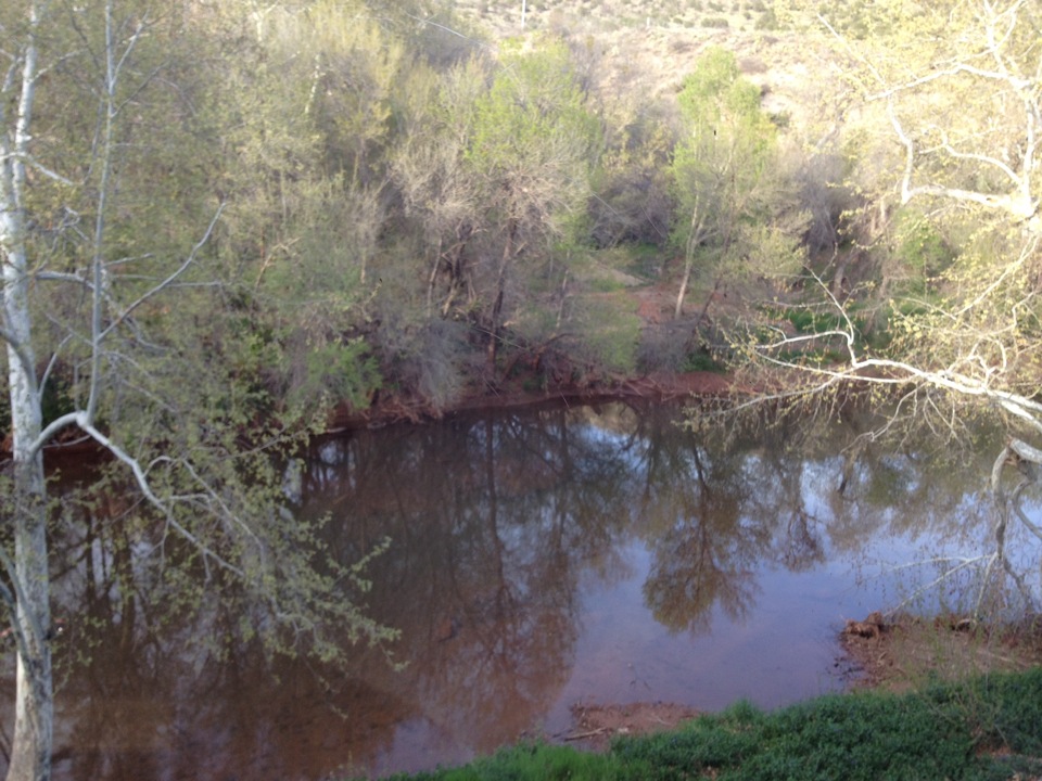 Up the Creek餐厅图片