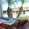 In-N-Out Burger