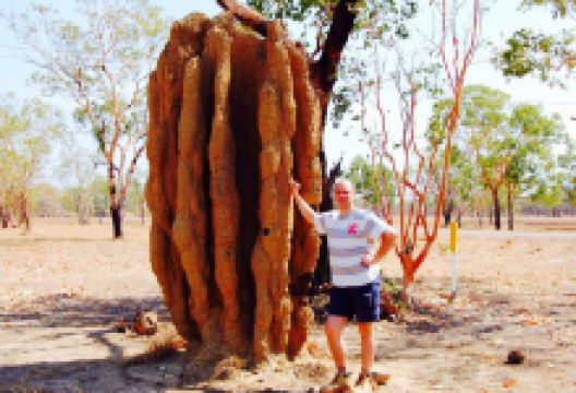 Digger's Bistro美食图片