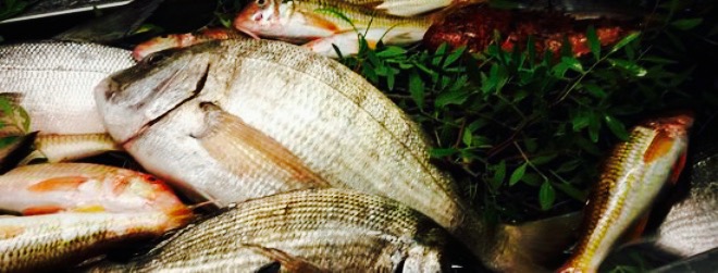 Stella del Mare餐厅图片