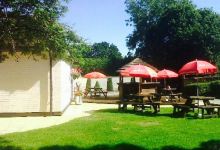 The Golden Goose美食图片