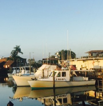 Little Bar Restaurant餐厅图片