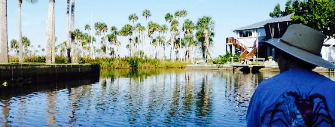 BeckyJack's Food Shack