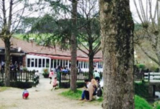 Marko Pollo美食图片