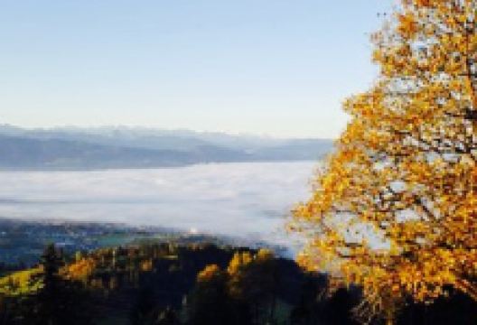 Restaurant Bachtel-Kulm美食图片