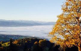 Restaurant Bachtel-Kulm