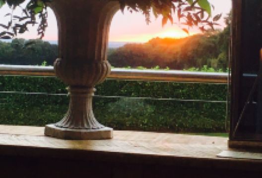 Alec's Restaurant美食图片