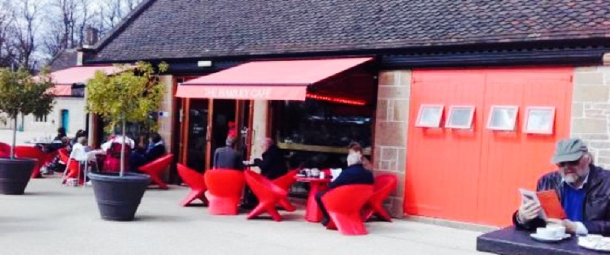 The Harley Café餐厅图片