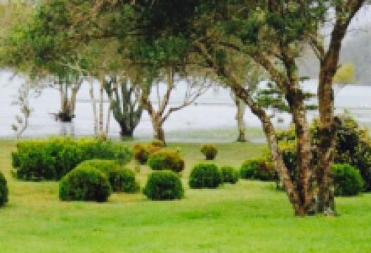 Love Azores美食图片