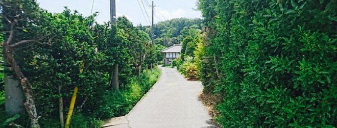 Mura no Pizzaya Campagna餐厅图片