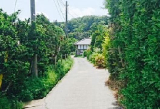 Mura no Pizzaya Campagna美食图片