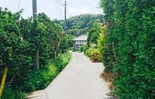 Mura no Pizzaya Campagna餐厅图片