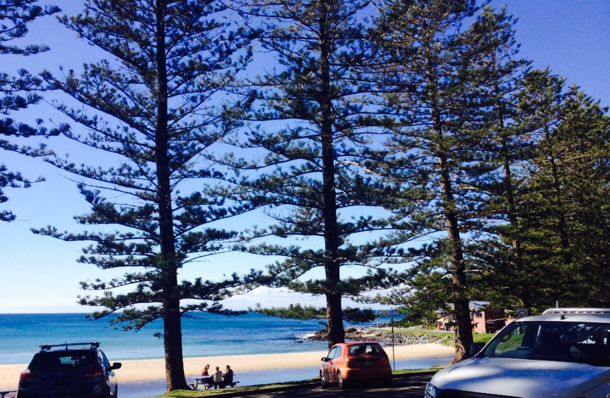 Waves at Blackhead餐厅图片