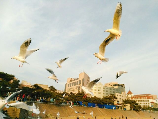 잔교(잔차오)