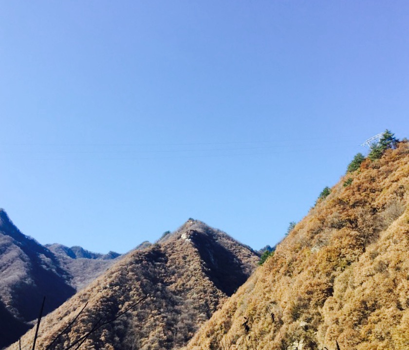 九鼎万花山