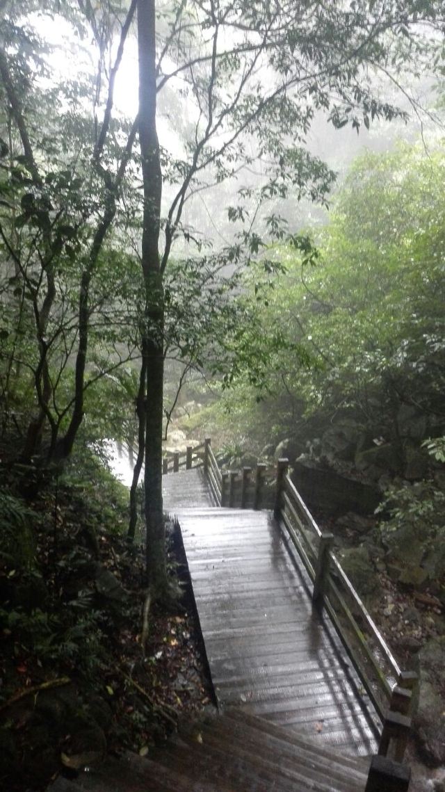 Wuzhishan Tropical Rainforest
