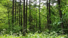 养子沟-栾川-doris圈圈