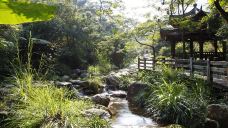 雁南飞茶田景区-桥溪古韵-梅州-doris圈圈