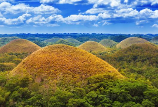 菲律宾薄荷岛经典陆地游：巧克力山&眼镜猴&罗博河游船&蝴蝶园【打卡“哈利.波特”取景地-巧克力山，探秘“国宝”眼镜猴，载歌载舞泛舟巡游罗博河！】