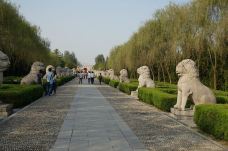 明皇陵-凤阳-蛙儿子