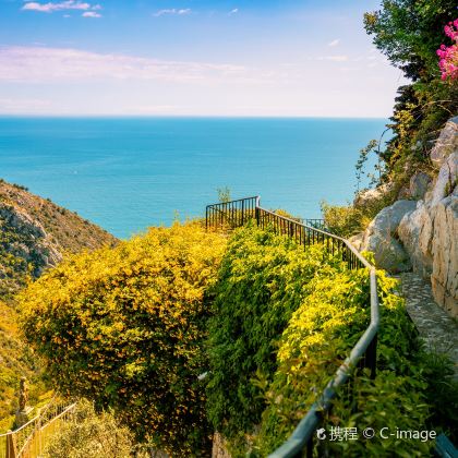 法国尼斯9日8晚私家团