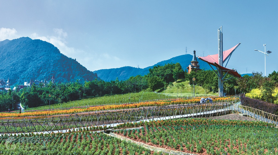 東部華僑城茶溪谷