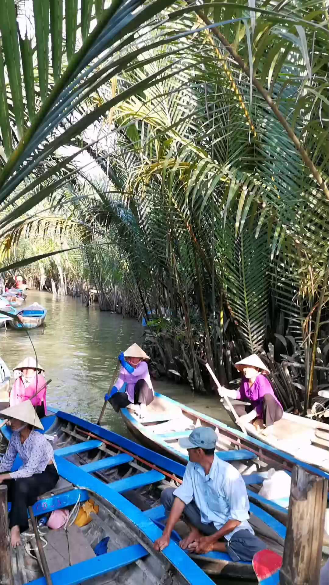 😎 畅游湄公河