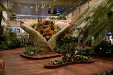 樟宜机场互动艺术站-新加坡-doris圈圈