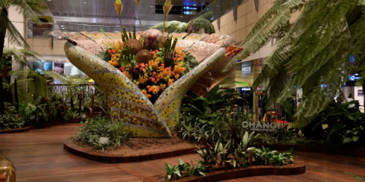 樟宜機場互動藝術站