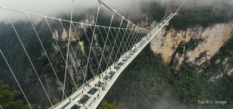 Zhangjiajie Grand Canyon Glass Bridge Travel Guidebook Must Visit