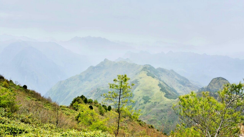 万源八台山