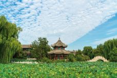 古莲花池-保定-耀晨影像