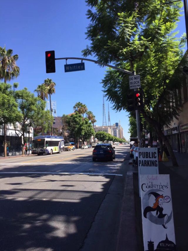 Hollywood