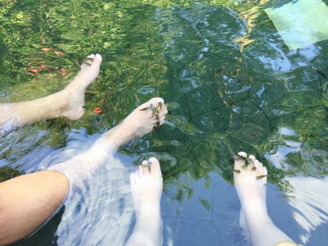 츠시 달봉산 온천