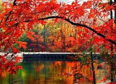 蒲石河森林公园-凤城-玉峰山庄