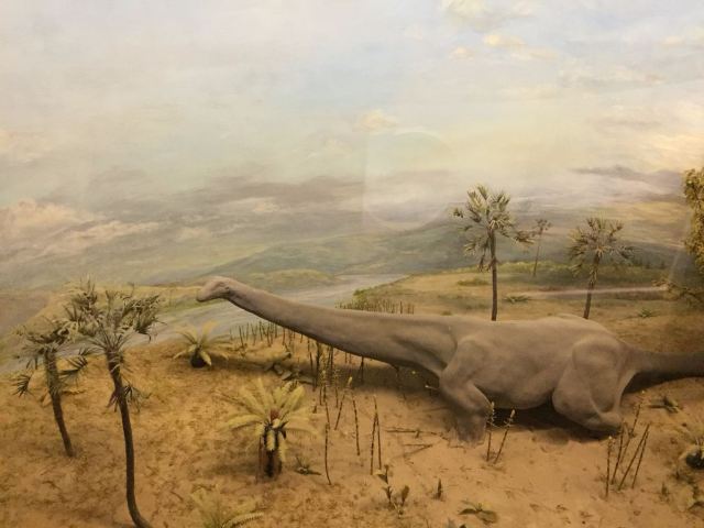 Auckland War Memorial Museum