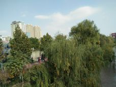 雁滩公园-兰州-菲菲travel