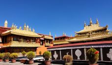 大昭寺-拉萨-201473258