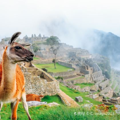 巴西+阿根廷+乌拉圭+智利+秘鲁27日24晚跟团游