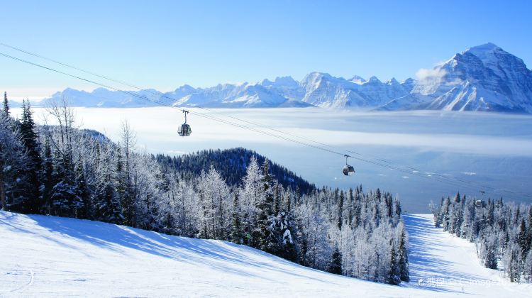 7-Day Canada Tour·Vancouver, Banff National Park, Columbia Icefield & Victoria | Fairmont Chateau Lake Louise Stay