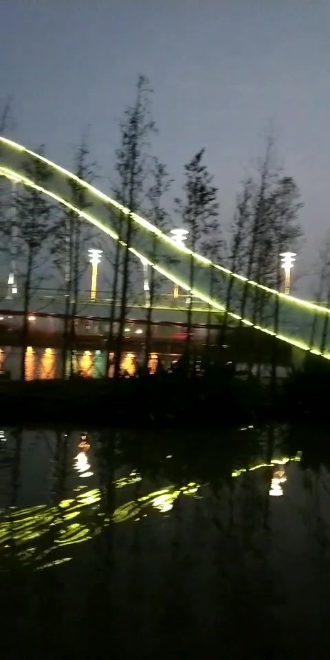 凌波桥漂亮的夜景