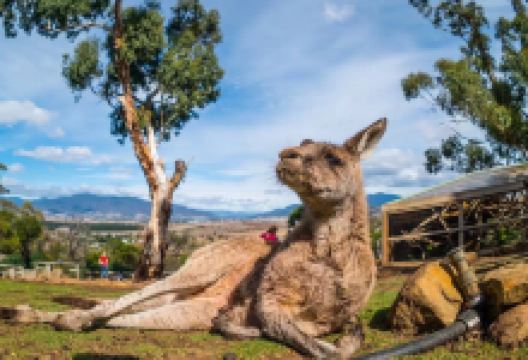 波诺朗野生动物园景点图片