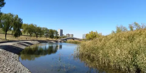 龍首湖公園