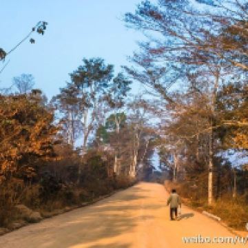 森莫诺隆图片