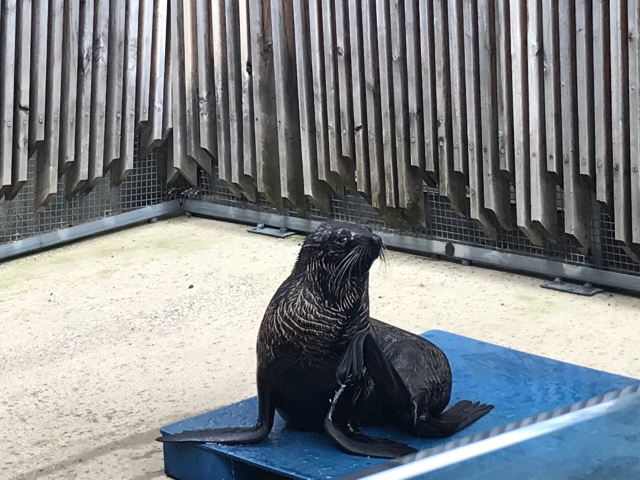 Melbourne Zoo