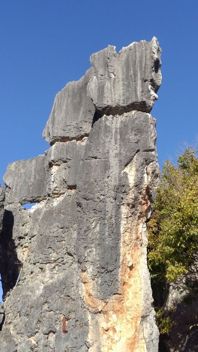 Stone Forest