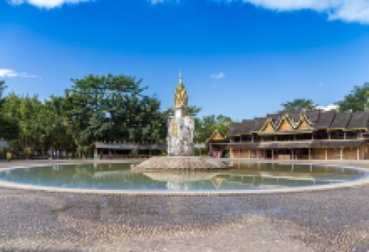 奠边府旅游图片-趣玩雨林，西双版纳深度4日游